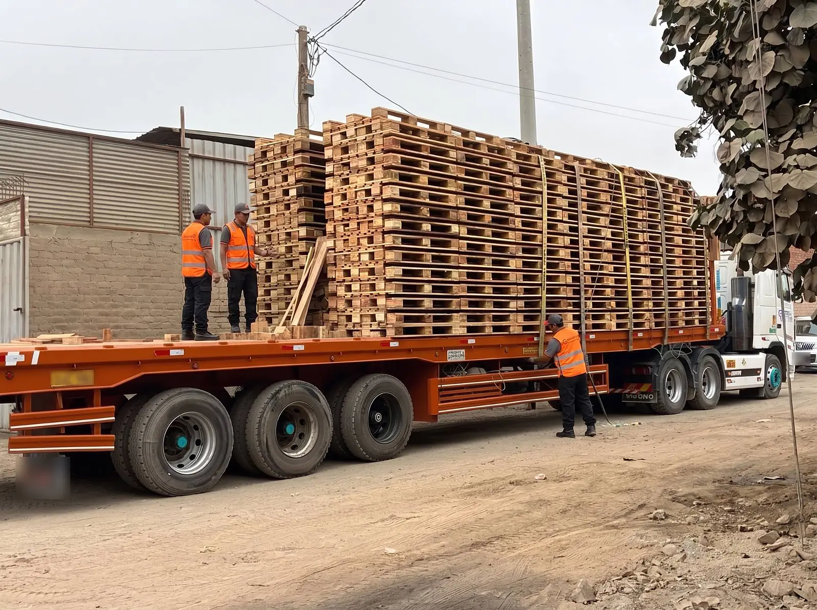 Equipo asegurando con fajas un lote de parihuelas sobre un tráiler
